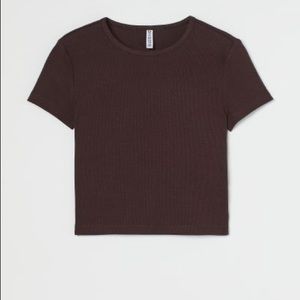 H & M new chocolate brown basic cropped ribbed tshirt
